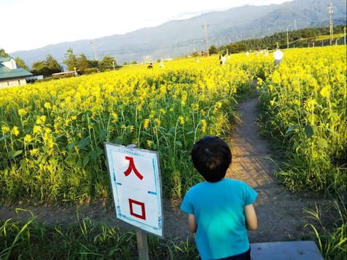 さあ、あなたも田舎暮らしを南砺市(なんとし)で始めませんか?