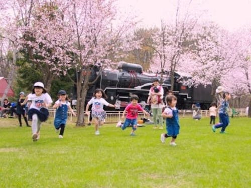 人気の桜山公園