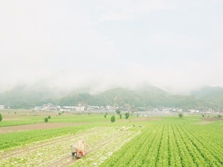 農の風景