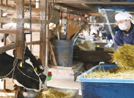 田嶋牧場～好きな時間で酪農にかかわるちょうどよい働き方
