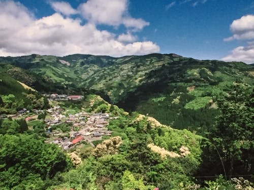 暮らしの知恵が詰まった、山のモザイク林相