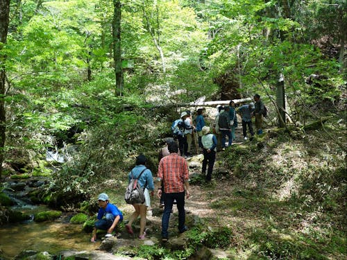 森林ツアーの様子