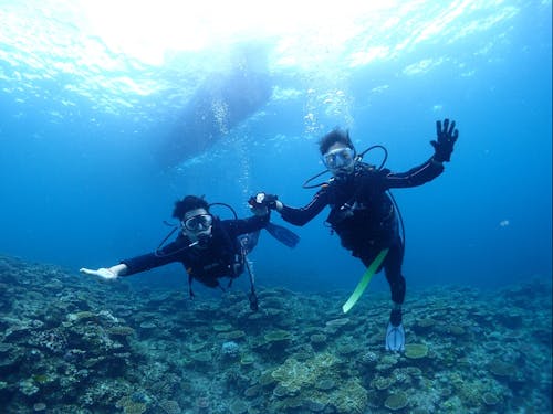 最高のレジャーが目の前に