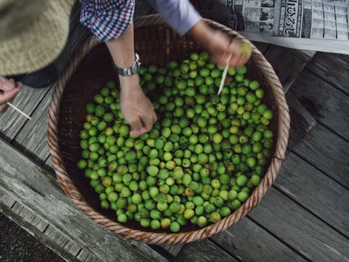 梅がなったら梅しごと