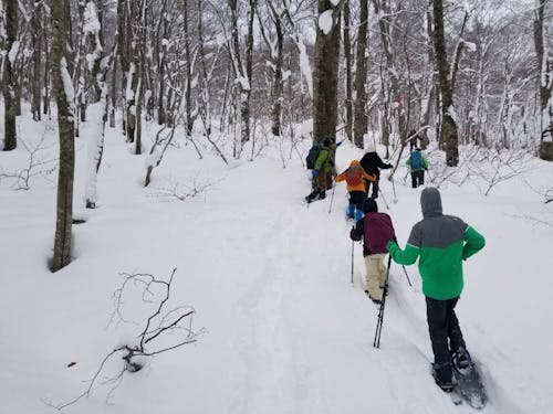 初心者でも雪の上をすいすい歩けます!普段見られない景色を見に行きましょう