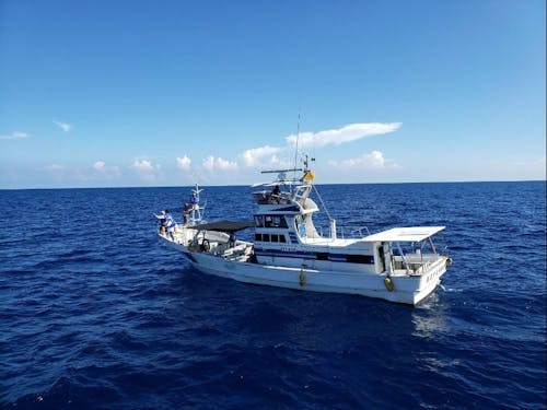 さー漁船に乗って出港!今日はどんな出会いがあるかな?