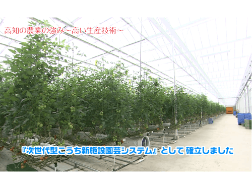 高知県にある次世代型園芸ハウス