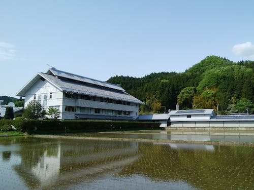 田んぼに映える古殿町役場