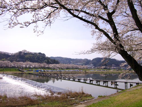 雲南市の風景①