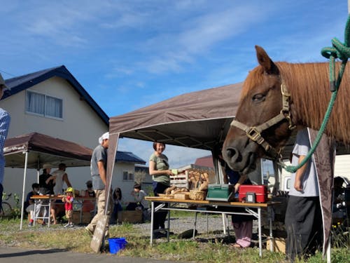 コロナ禍を縫って行われた、朝ご飯の会。道産子馬のハナちゃんも登場していい雰囲気!