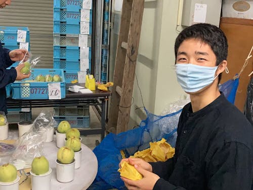 おてつだいをする学生