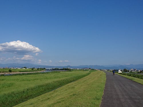 お気に入りの散歩道 サイクリングやランニングを楽しむ人もたくさんいます。
