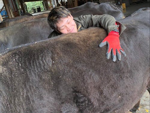 動物相手のお仕事。愛情込めてお世話します。