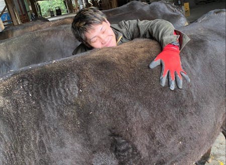 動物相手のお仕事。愛情込めてお世話します。