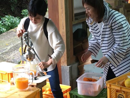 ジュース作り体験を企画