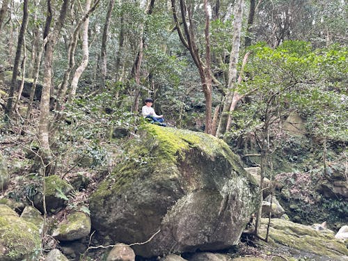 イルカだけじゃない!緑に癒やされる島でもあります。
