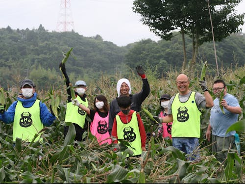 収穫期は仲間に声をかけてイベント的に!