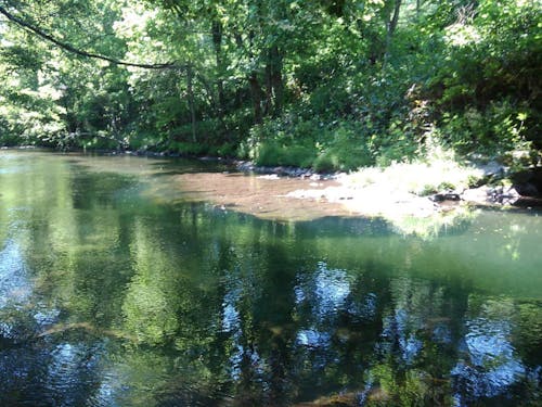 4m下まで見える名寄川上流。釣りや川遊びで遊びます。