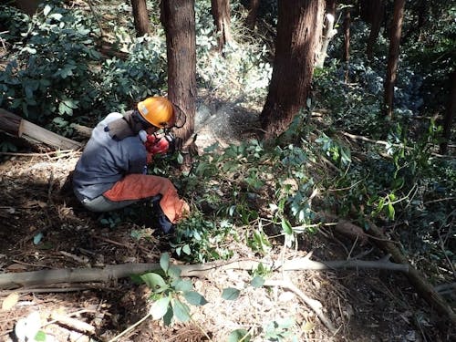 山の環境を整えて