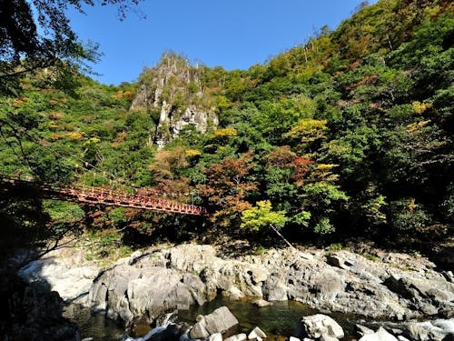 山口県を代表する渓谷の国指定名勝「長門峡」