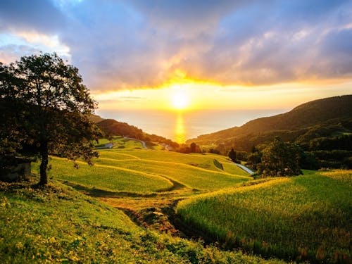 島ならでは!海を望む岩首昇竜棚田