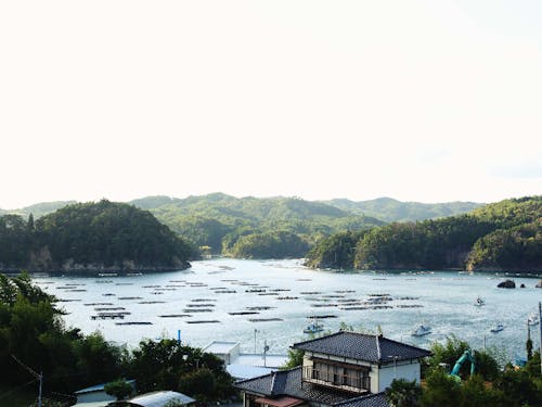 こんな海を見ながら働いてみませんか?
