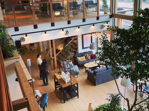 中央のマザーツリーは再生の木