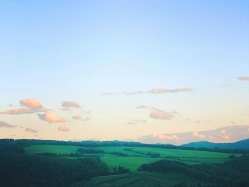 北海道はごはんが美味しい！とよく言われます。 そりゃそうです。こんなに澄んだ空気と広ーい大地で、元気なおいしい動物や植物が育たない訳がありません。  もちろん下川にもおいしい食材が持参しきれないほどあるけれど、当日は選りすぐりの食材たちを持参して美味しいお料理に仕上げてもらいます！乞うご期待♪
