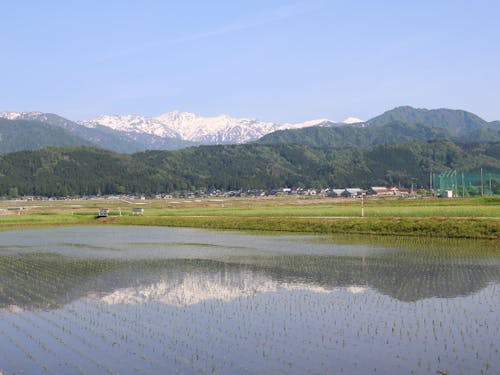 日常の中に絶景が!絶景散歩は最高です