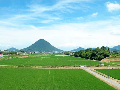 讃岐富士(飯野山)