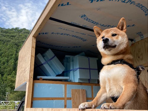 GLAMPiCの社長である大吉くん