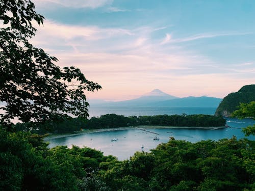 沼津市戸田(へだ)の風景