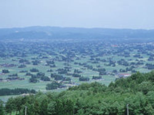 砺波平野に多く見られる散居村の風景