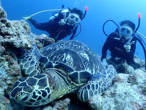 沖縄に来て海遊びをしないなんてあり得ない