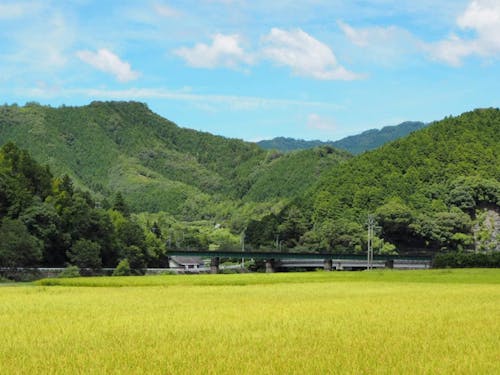 こんな地域での暮らし方と働き方を考えてみましょう。
