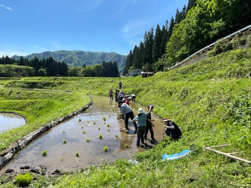 棚田での田植え体験!