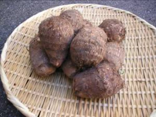 独特の粘りと甘みを持った里芋は福野地域の特産品です。