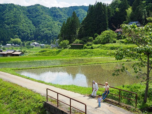 美しい里山風景が丹波篠山の魅力です。