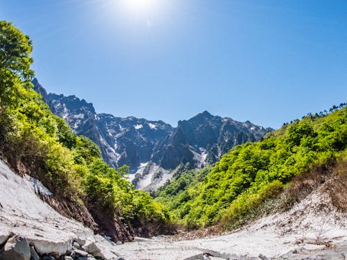 おやまの大自然があなたを待っているぅ!