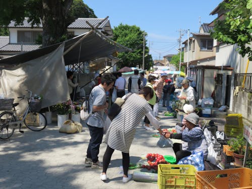 430年の歴史！勝浦朝市