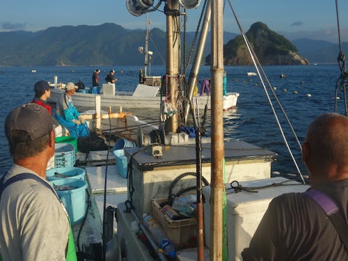 漁業体験教室の様子