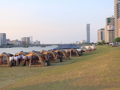 夏のやすらぎ堤