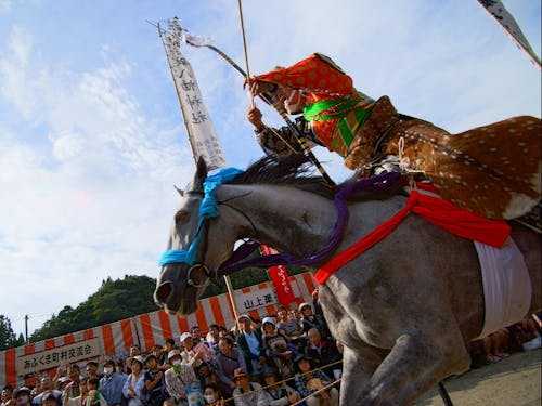 伝統文化「流鏑馬」を今に伝えています。