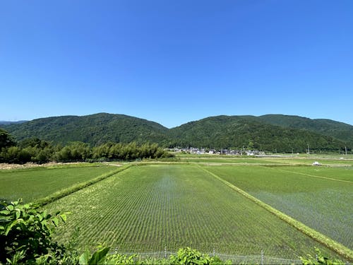 高島市マキノ町の様子