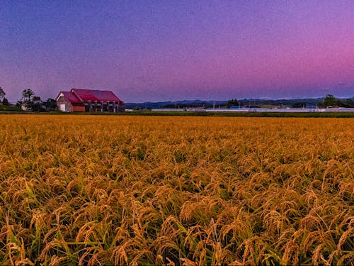 秋の栗山町の風景