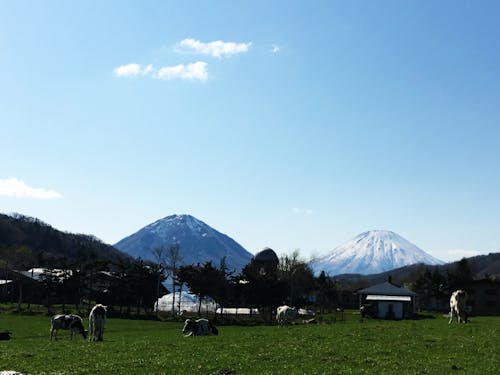 北海道喜茂別町