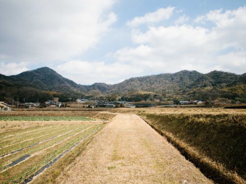 香川県まんのう町