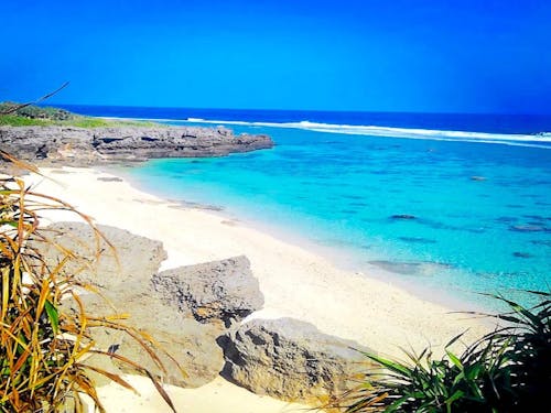 サンゴ礁の美しいビーチは、いつも貸し切り状態