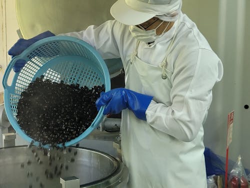 しじみの加工作業の様子