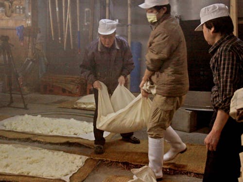 働き先の１つである、桜川酒造での仕込み仕事の様子